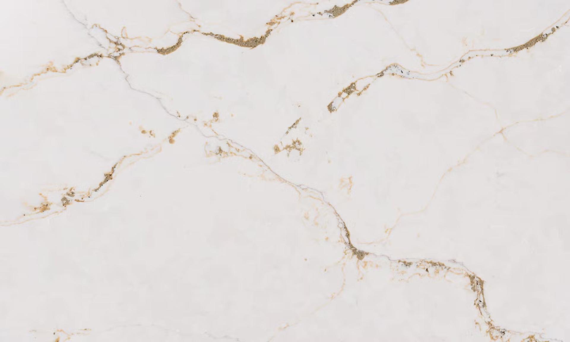Image for Versailles Ivory
